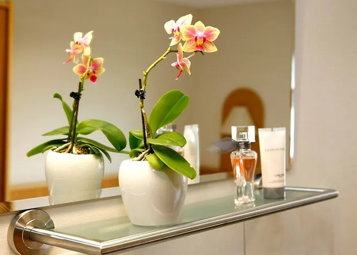 Haus Astenblick 게스트하우스